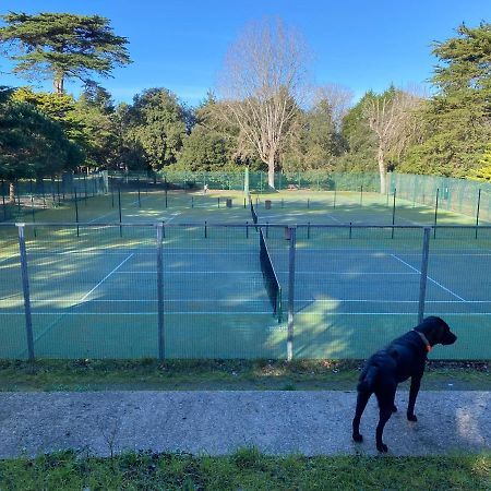 Appart 6 Pers Au Bord De La Mer 勒宝利古恩 外观 照片